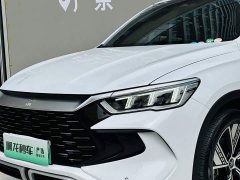 BYD Song Pro New Energy 2023 Champion Edition DM-i 110KM Excellence - ფოტო 19