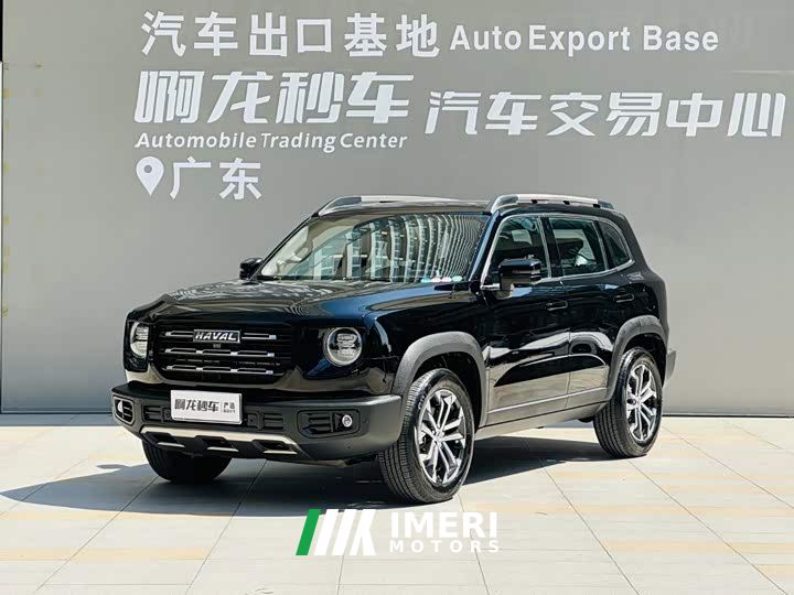 Great Wall Dachshund 1.5T DCT Two-Wheel Drive Border Collie Edition