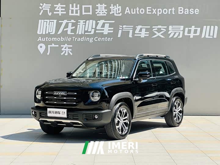 Great Wall Dachshund 1.5T DCT Two-Wheel Drive Border Collie Edition - автомобиль из Китая