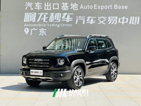 2022 Great Wall Dachshund 1.5T DCT Two-Wheel Drive Border Collie Edition - ავტომობილი ჩინეთიდან