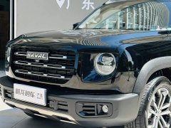 Great Wall Dachshund 1.5T DCT Two-Wheel Drive Border Collie Edition - фото 20