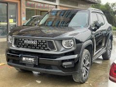 Haval Big Dog PLUS 2.0T Two-Wheel Drive Trendy Wilderness Edition Plus - ფოტო 1