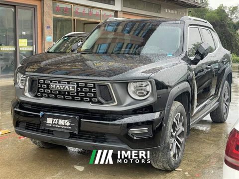 2023 Haval Big Dog PLUS 2.0T Two-Wheel Drive Trendy Wilderness Edition Plus - ავტომობილი ჩინეთიდან