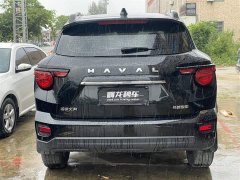 Haval Big Dog PLUS 2.0T Two-Wheel Drive Trendy Wilderness Edition Plus - ფოტო 6