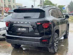 Haval Big Dog PLUS 2.0T Two-Wheel Drive Trendy Wilderness Edition Plus - ფოტო 7
