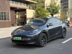 Tesla Model Y Rear-Wheel Drive - ფოტო 1