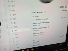 Tesla Model Y Rear-Wheel Drive - ფოტო 12