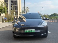 Tesla Model Y Rear-Wheel Drive - ფოტო 2