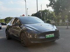 Tesla Model Y Rear-Wheel Drive - ფოტო 3