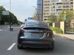 Tesla Model Y Rear-Wheel Drive - ფოტო 5