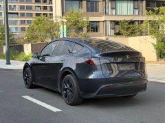 Tesla Model Y Rear-Wheel Drive - ფოტო 6