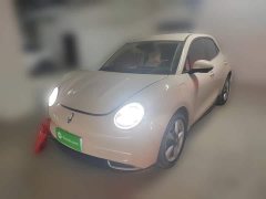 ORA Good Cat 401km Standard Range Luxury LFP - ფოტო 1