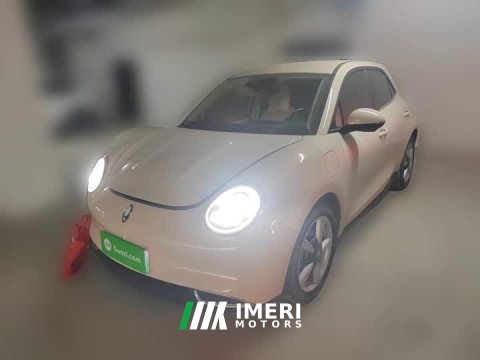2023 ORA Good Cat 401km Standard Range Luxury LFP - ავტომობილი ჩინეთიდან