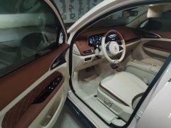 ORA Good Cat 401km Standard Range Luxury LFP - ფოტო 12