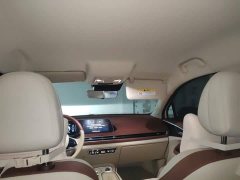 ORA Good Cat 401km Standard Range Luxury LFP - ფოტო 14