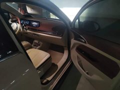 ORA Good Cat 401km Standard Range Luxury LFP - ფოტო 19