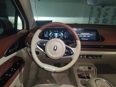 ORA Good Cat 401km Standard Range Luxury LFP - ფოტო 6