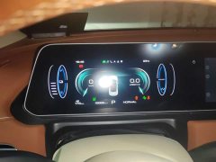 ORA Good Cat 401km Standard Range Luxury LFP - ფოტო 7