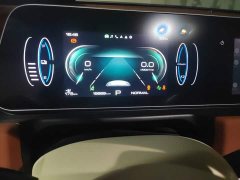 ORA Good Cat 401km Standard Range Luxury LFP - ფოტო 8