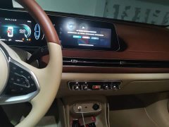 ORA Good Cat 401km Standard Range Luxury LFP - ფოტო 9