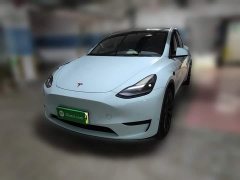 Tesla Model Y Rear-Wheel Drive - ფოტო 1
