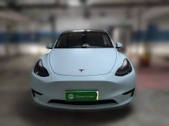 Tesla Model Y Rear-Wheel Drive - ფოტო 2