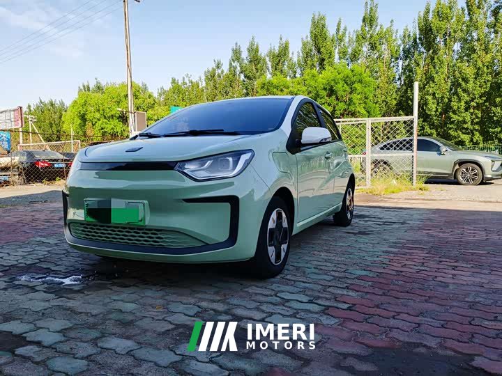 Flower Fairy Anniversary Edition 301km Clover 36kW