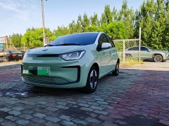 Flower Fairy Anniversary Edition 301km Clover 36kW - photo 1