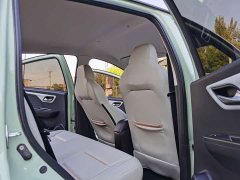 Flower Fairy Anniversary Edition 301km Clover 36kW - photo 12