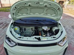 Flower Fairy Anniversary Edition 301km Clover 36kW - photo 14