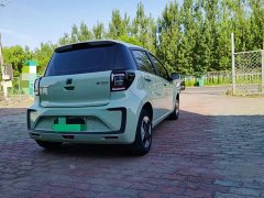 Flower Fairy Anniversary Edition 301km Clover 36kW - photo 15