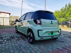 Flower Fairy Anniversary Edition 301km Clover 36kW - photo 16