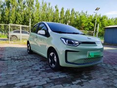 Flower Fairy Anniversary Edition 301km Clover 36kW - photo 2