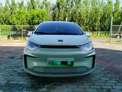 Flower Fairy Anniversary Edition 301km Clover 36kW - photo 3