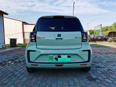 Flower Fairy Anniversary Edition 301km Clover 36kW - photo 4