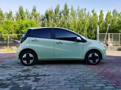 Flower Fairy Anniversary Edition 301km Clover 36kW - photo 5