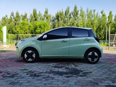 Flower Fairy Anniversary Edition 301km Clover 36kW - photo 6