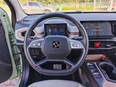Flower Fairy Anniversary Edition 301km Clover 36kW - photo 8