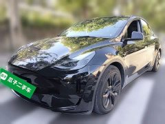 Tesla Model Y Rear-Wheel Drive - ფოტო 1
