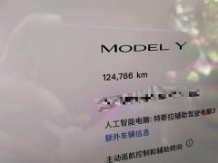 Tesla Model Y Rear-Wheel Drive - ფოტო 13