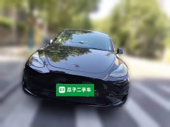 Tesla Model Y Rear-Wheel Drive - ფოტო 2