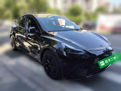 Tesla Model Y Rear-Wheel Drive - ფოტო 3