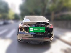 Tesla Model Y Rear-Wheel Drive - ფოტო 5