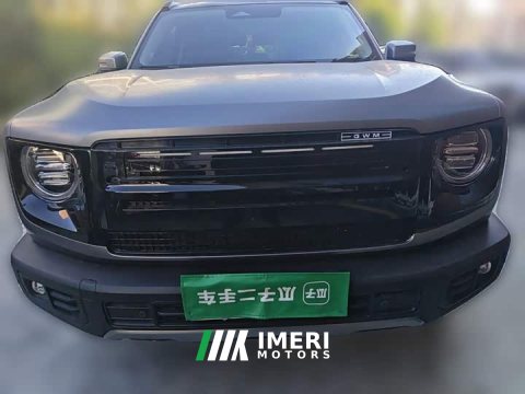2026 Great Wall Dachshund 1.5T DCT Border Collie Edition - ავტომობილი ჩინეთიდან