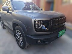 Great Wall Dachshund 1.5T DCT Border Collie Edition - ფოტო 3