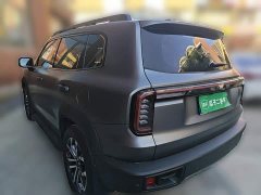 Great Wall Dachshund 1.5T DCT Border Collie Edition - ფოტო 4