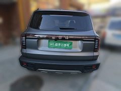 Great Wall Dachshund 1.5T DCT Border Collie Edition - ფოტო 5