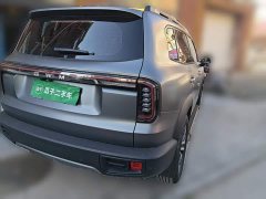 Great Wall Dachshund 1.5T DCT Border Collie Edition - ფოტო 6