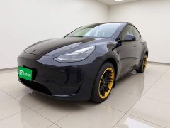 Tesla Model Y Rear-Wheel Drive - ფოტო 1
