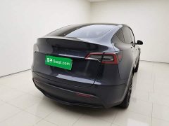 Tesla Model Y Rear-Wheel Drive - ფოტო 4